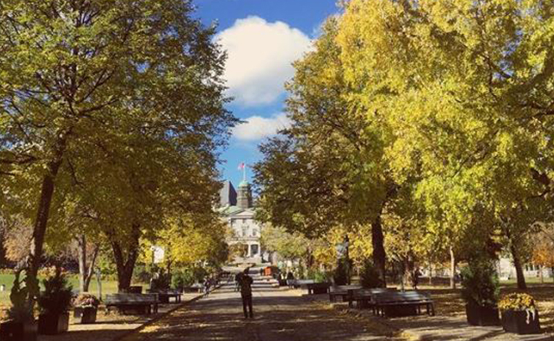 Mcgill university dating site